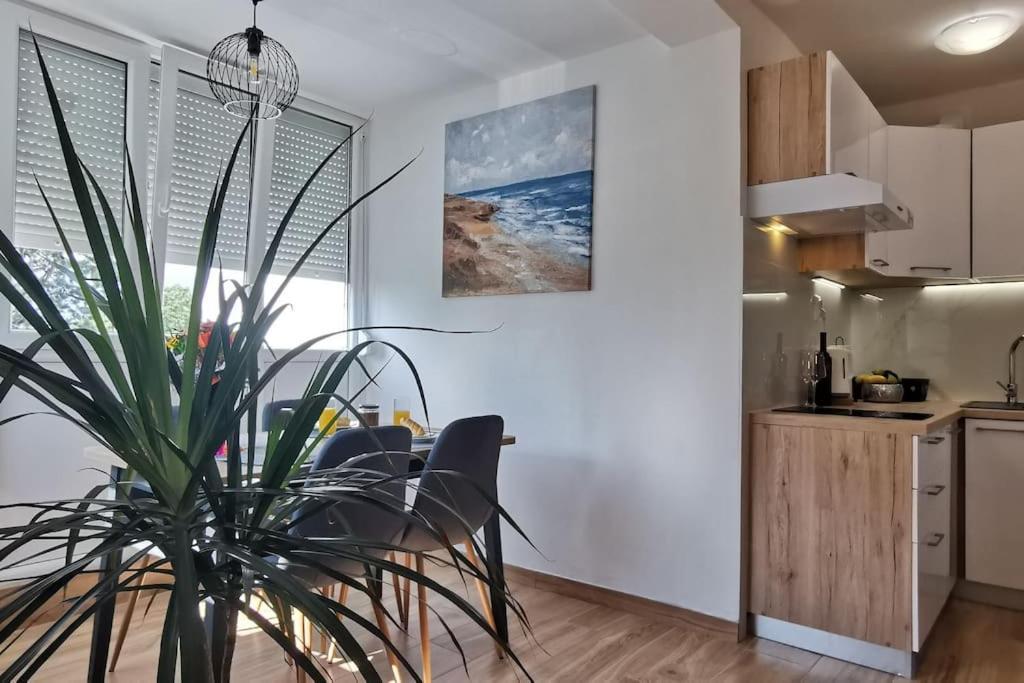 Apartman Liburna غييكا المظهر الخارجي الصورة